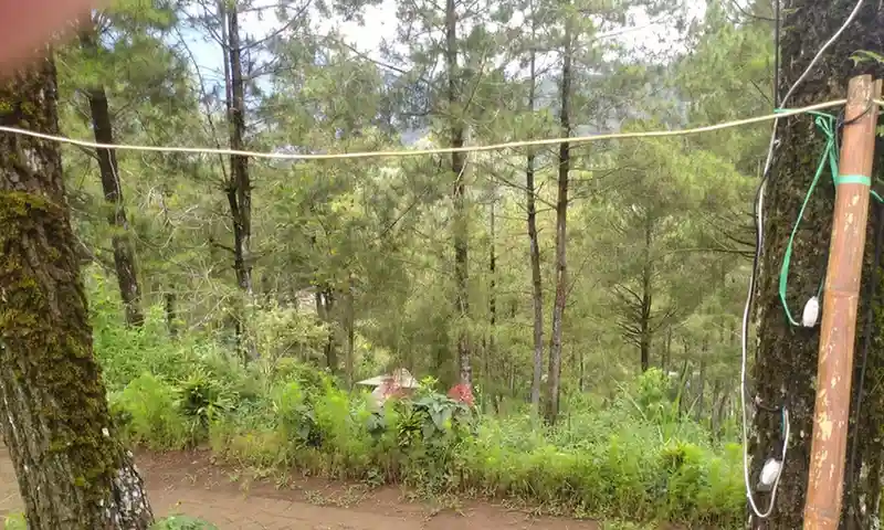 Tenda Premium Camping